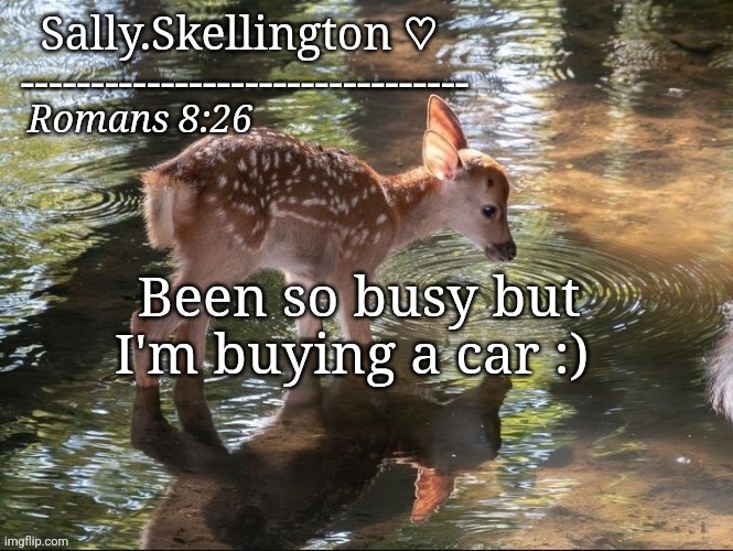 Sally's temp | Been so busy but I'm buying a car :) | image tagged in sally's temp | made w/ Imgflip meme maker