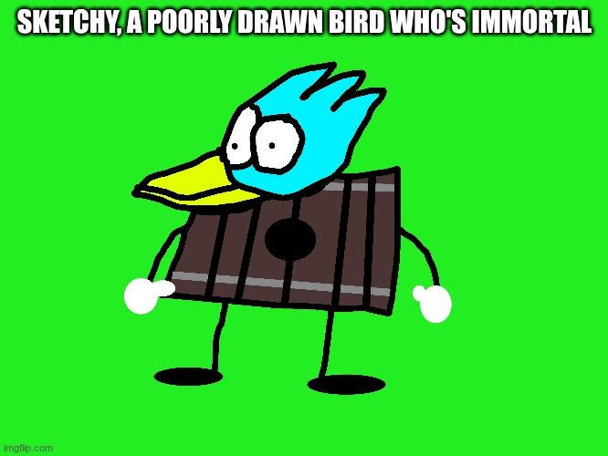 @EvanBonahoomjr | SKETCHY, A POORLY DRAWN BIRD WHO'S IMMORTAL | image tagged in ocs | made w/ Imgflip meme maker