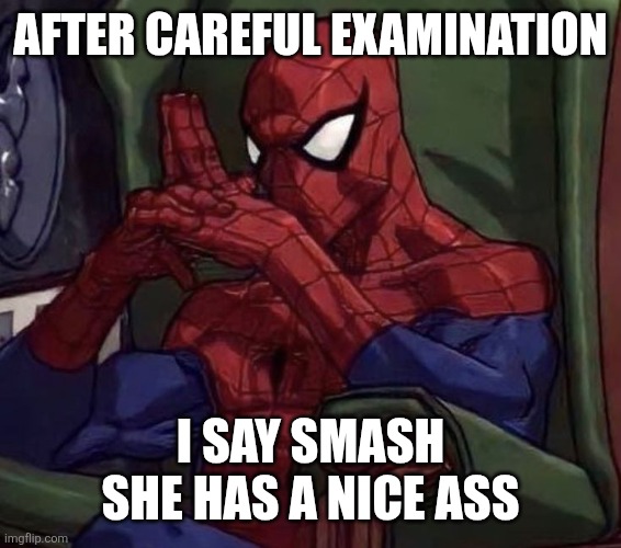Spiderman thinking in Chair | AFTER CAREFUL EXAMINATION I SAY SMASH SHE HAS A NICE ASS | image tagged in spiderman thinking in chair | made w/ Imgflip meme maker
