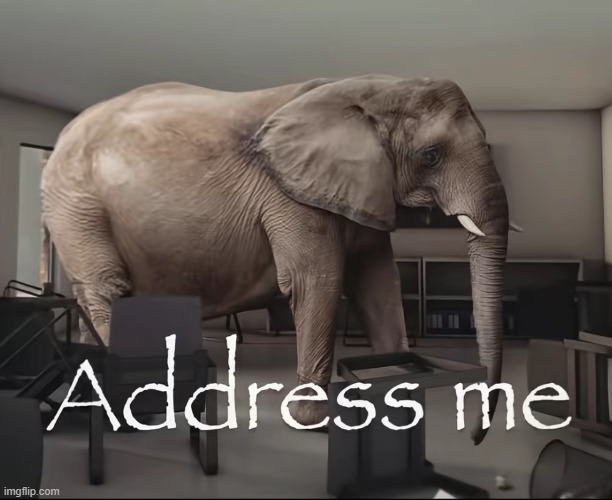 Address me elephant | image tagged in address me elephant | made w/ Imgflip meme maker