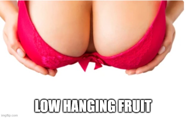 Hanging | LOW HANGING FRUIT | image tagged in boobs | made w/ Imgflip meme maker