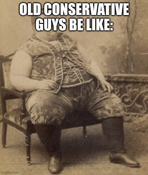 Big Old Picture | OLD CONSERVATIVE GUYS BE LIKE: | image tagged in big old picture | made w/ Imgflip meme maker