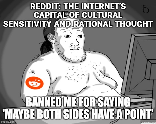 REDDIT: WHERE EVERYONE IS LOGICAL AND KIND | REDDIT: THE INTERNET’S CAPITAL OF CULTURAL SENSITIVITY AND RATIONAL THOUGHT; BANNED ME FOR SAYING 'MAYBE BOTH SIDES HAVE A POINT' | image tagged in average redditor,scumbag redditor,reddit,free speech,freedom of speech,social media | made w/ Imgflip meme maker