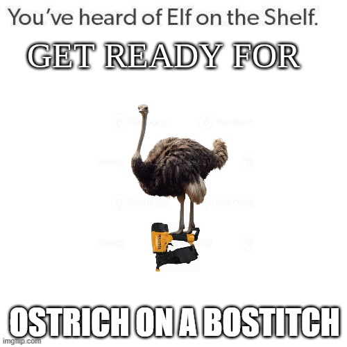 ostrich | OSTRICH ON A BOSTITCH | image tagged in youve heard of elf on the shelf get ready for | made w/ Imgflip meme maker