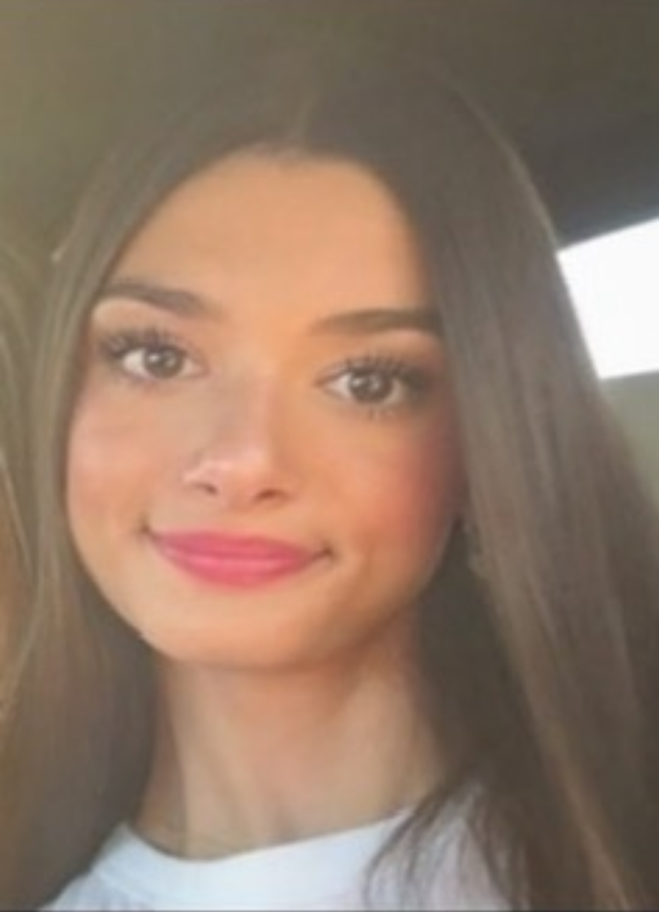 Samantha Blank Meme Template