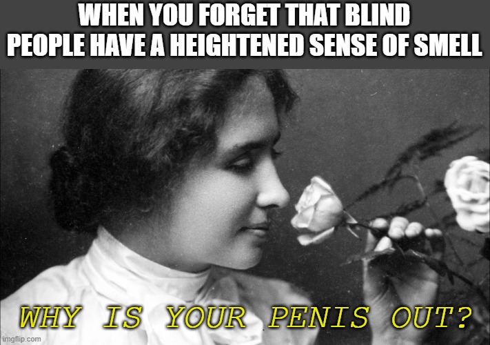 Blind Can Tell | WHEN YOU FORGET THAT BLIND PEOPLE HAVE A HEIGHTENED SENSE OF SMELL; WHY IS YOUR PENIS OUT? | image tagged in helen keller school of driving | made w/ Imgflip meme maker
