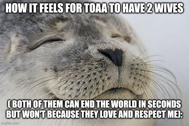 Satisfied Seal | HOW IT FEELS FOR TOAA TO HAVE 2 WIVES; ( BOTH OF THEM CAN END THE WORLD IN SECONDS BUT WON'T BECAUSE THEY LOVE AND RESPECT ME): | image tagged in memes,satisfied seal | made w/ Imgflip meme maker