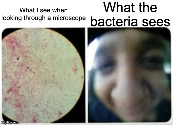 microscope | What I see when looking through a microscope; What the bacteria sees | image tagged in bacteria,memes | made w/ Imgflip meme maker