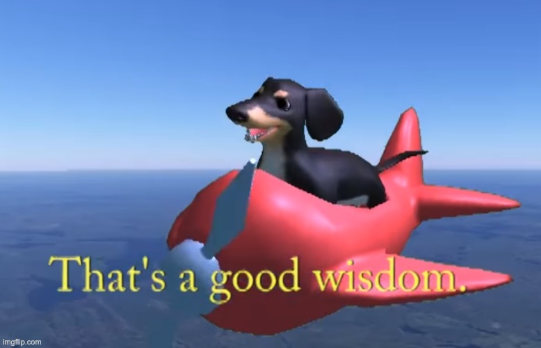 image tagged in that's a good wisdom | made w/ Imgflip meme maker