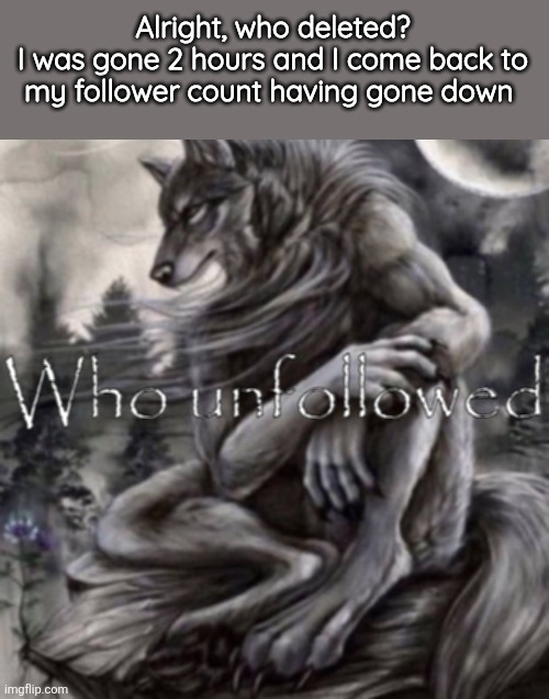 Who unfollowed | Alright, who deleted?
I was gone 2 hours and I come back to my follower count having gone down | image tagged in who unfollowed | made w/ Imgflip meme maker