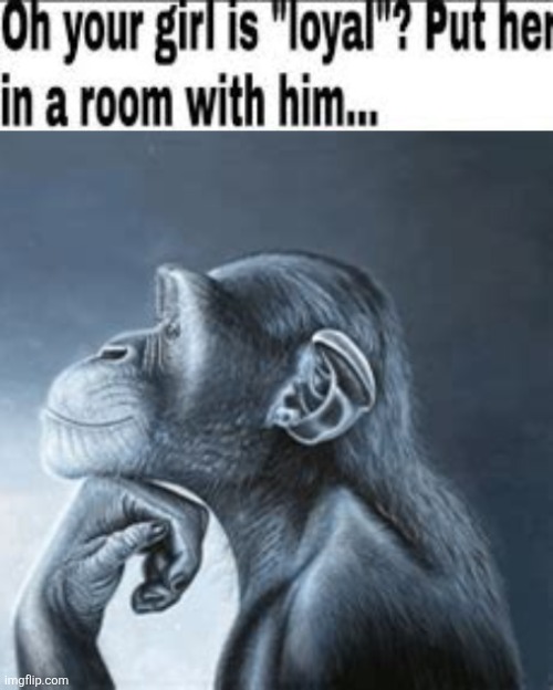 image tagged in oh your girl is loyal put her in a room with him,tiger yell at pondering monkey | made w/ Imgflip meme maker