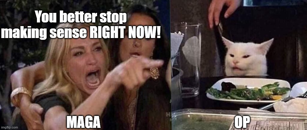 woman yelling at cat | MAGA OP You better stop making sense RIGHT NOW! | image tagged in woman yelling at cat | made w/ Imgflip meme maker
