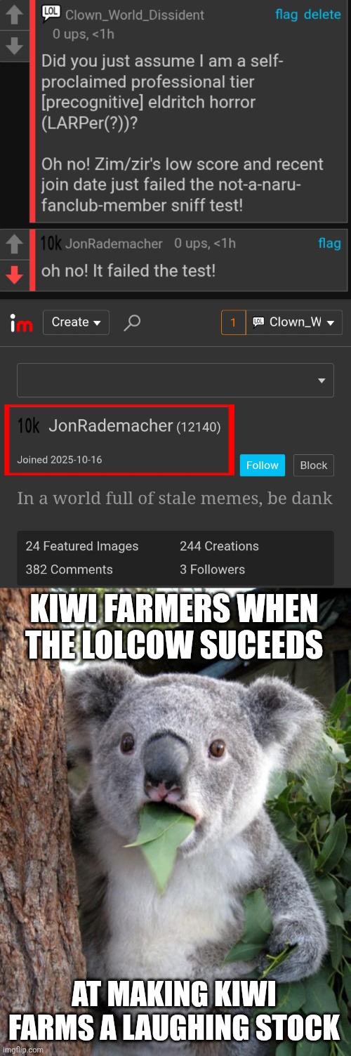 KIWI FARMERS WHEN THE LOLCOW SUCEEDS AT MAKING KIWI FARMS A LAUGHING STOCK | image tagged in memes,surprised koala | made w/ Imgflip meme maker
