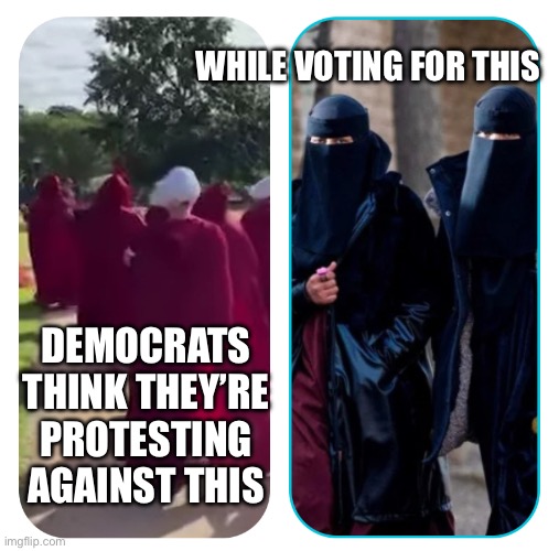 Irony of democrats | WHILE VOTING FOR THIS; DEMOCRATS THINK THEY’RE PROTESTING AGAINST THIS | image tagged in democrat,islam,republican,liberal,libtard,conservatives | made w/ Imgflip meme maker