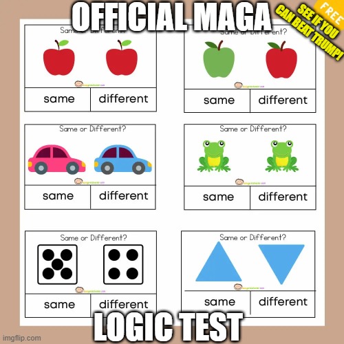 Same or different | OFFICIAL MAGA LOGIC TEST SEE IF YOU CAN BEAT TRUMP! | image tagged in same or different | made w/ Imgflip meme maker