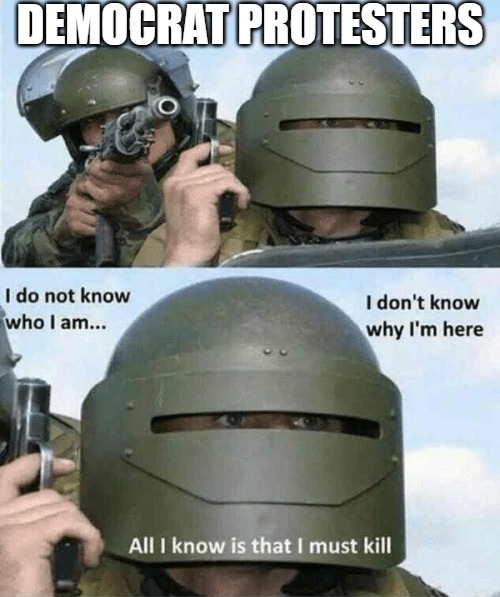 Adding "I don't know what I am..." | DEMOCRAT PROTESTERS | image tagged in i don't know who i am,democrats,american politics | made w/ Imgflip meme maker