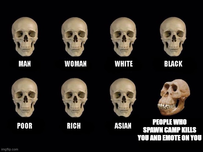 Bruv | PEOPLE WHO SPAWN CAMP KILLS YOU AND EMOTE ON YOU | image tagged in empty skulls of truth | made w/ Imgflip meme maker