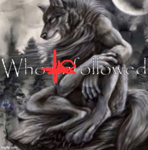 Who followed | image tagged in who followed | made w/ Imgflip meme maker
