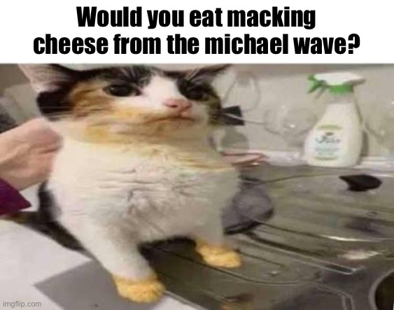Would you eat macking cheese from the michael wave? | made w/ Imgflip meme maker