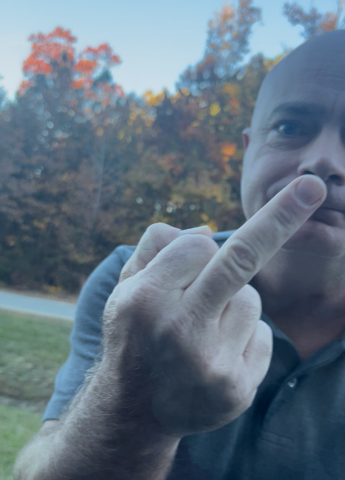 Roadrage turtle Blank Meme Template