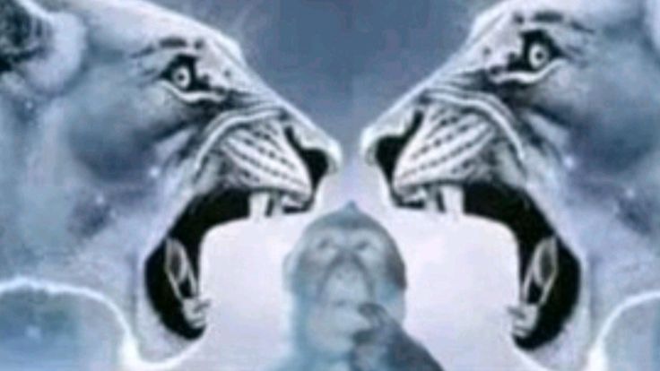 rage | image tagged in rage | made w/ Imgflip meme maker