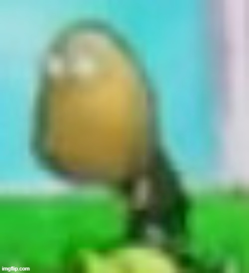 Tall-nut zombie | image tagged in tall-nut zombie | made w/ Imgflip meme maker