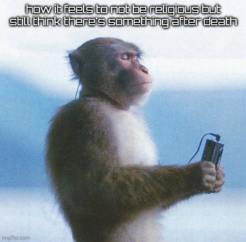 monke music | how it feels to not be religious but still think there's something after death | image tagged in monke music | made w/ Imgflip meme maker