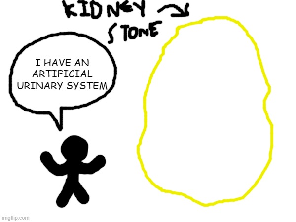 I HAVE AN ARTIFICIAL URINARY SYSTEM | made w/ Imgflip meme maker