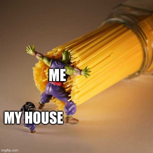 Piccolo Protect | ME MY HOUSE | image tagged in piccolo protect | made w/ Imgflip meme maker