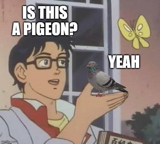 that IS a pigeon | IS THIS A PIGEON? YEAH | image tagged in memes,is this a pigeon,logic,meme,fun | made w/ Imgflip meme maker