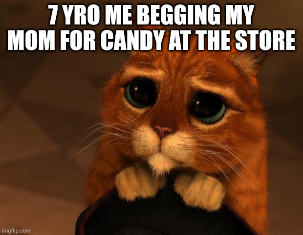 puss in boots eyes | 7 YRO ME BEGGING MY MOM FOR CANDY AT THE STORE | image tagged in puss in boots eyes | made w/ Imgflip meme maker