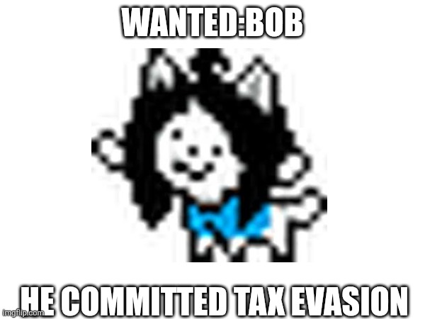 if you see this temmie call 911 do not approach | WANTED:BOB; HE COMMITTED TAX EVASION | made w/ Imgflip meme maker