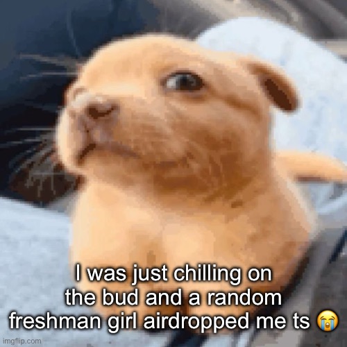 I was just chilling on the bud and a random freshman girl airdropped me ts 😭 | made w/ Imgflip meme maker