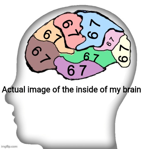 My life rn | 6 7; 6 7; 6 7; 6 7; 6 7; 6 7; 6 7; 6 7 | image tagged in actual image of the inside of my brain | made w/ Imgflip meme maker