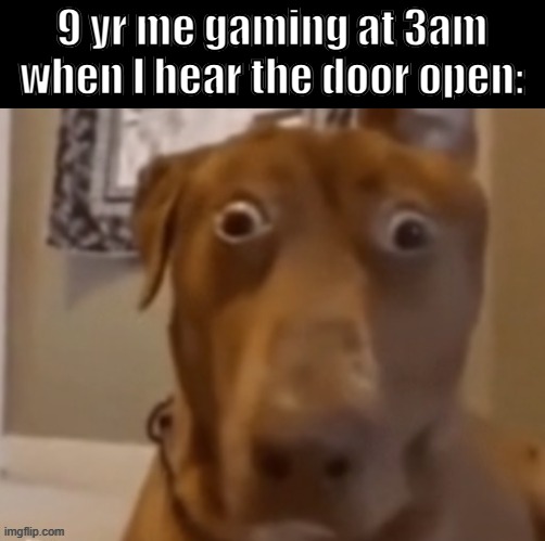 Dis is so real?? | 9 yr me gaming at 3am when I hear the door open: | image tagged in scare doggo,funny,relatable,gaming,why are you reading the tags,so true memes | made w/ Imgflip meme maker