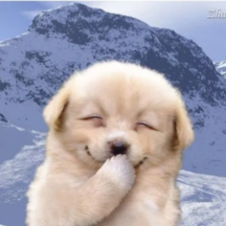 No, You Are The Stink Blank Meme Template