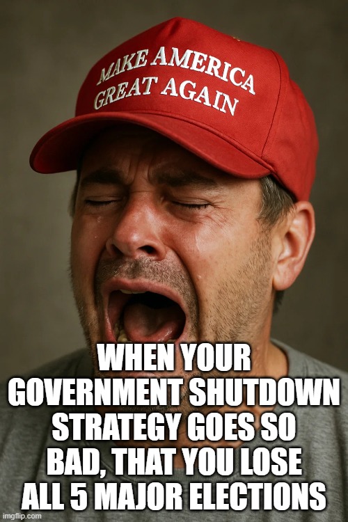 Karma is calling | WHEN YOUR GOVERNMENT SHUTDOWN STRATEGY GOES SO BAD, THAT YOU LOSE ALL 5 MAJOR ELECTIONS | image tagged in karma | made w/ Imgflip meme maker