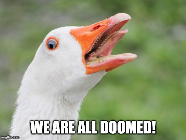 Our goose is cooked! | WE ARE ALL DOOMED! | image tagged in our goose is cooked | made w/ Imgflip meme maker