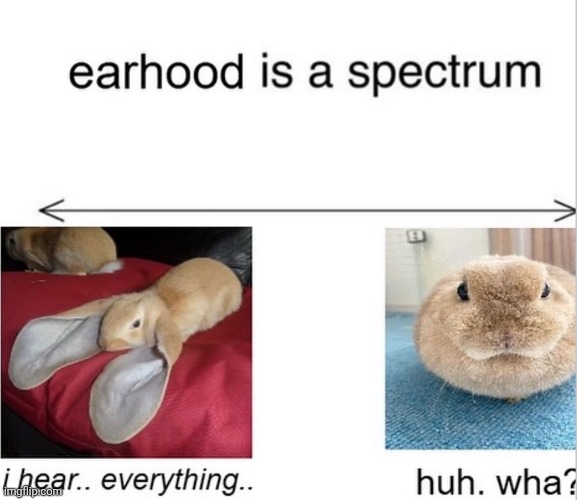 Made by forestdruiddyke | made w/ Imgflip meme maker