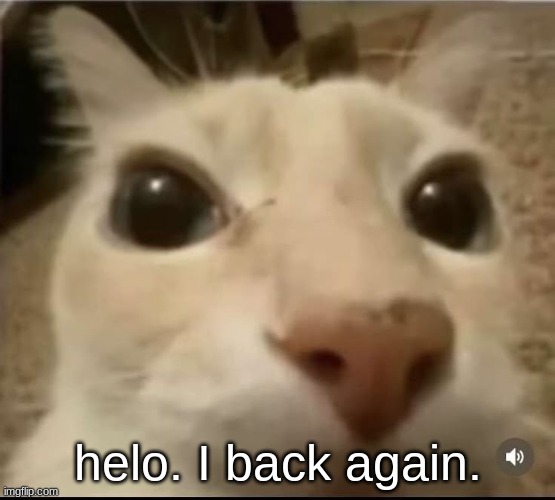 helo. I back again. | made w/ Imgflip meme maker