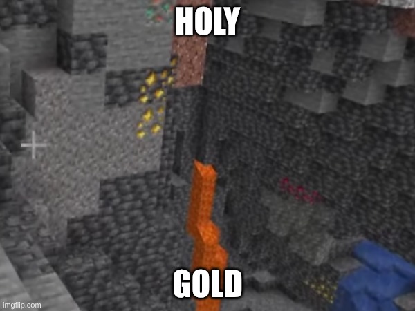 New Meme HOLY GOLD | HOLY; GOLD | image tagged in new memes | made w/ Imgflip meme maker
