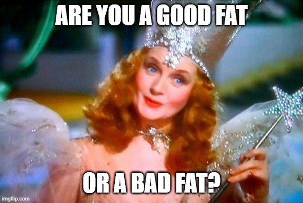 Glinda the Good Witch | ARE YOU A GOOD FAT; OR A BAD FAT? | image tagged in glinda the good witch | made w/ Imgflip meme maker