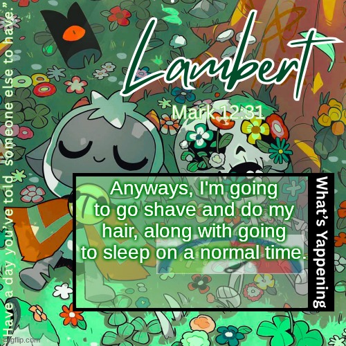 Lambert's "love everyone" template | Anyways, I'm going to go shave and do my hair, along with going to sleep on a normal time. | image tagged in lambert's love everyone template | made w/ Imgflip meme maker