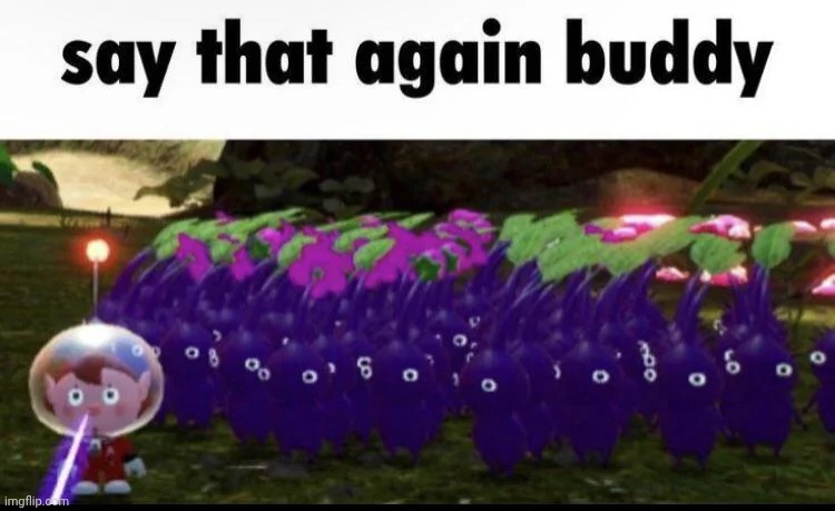 Say that again buddy | image tagged in say that again buddy | made w/ Imgflip meme maker
