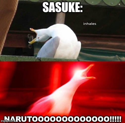 Inhaling Seagull  | SASUKE: NARUTOOOOOOOOOOOOO!!!!! | image tagged in inhaling seagull | made w/ Imgflip meme maker