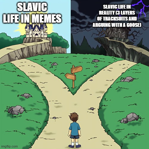 two castles | SLAVIC LIFE IN MEMES; SLAVIC LIFE IN REALITY (3 LAYERS OF TRACKSUITS AND ARGUING WITH A GOOSE) | image tagged in two castles | made w/ Imgflip meme maker