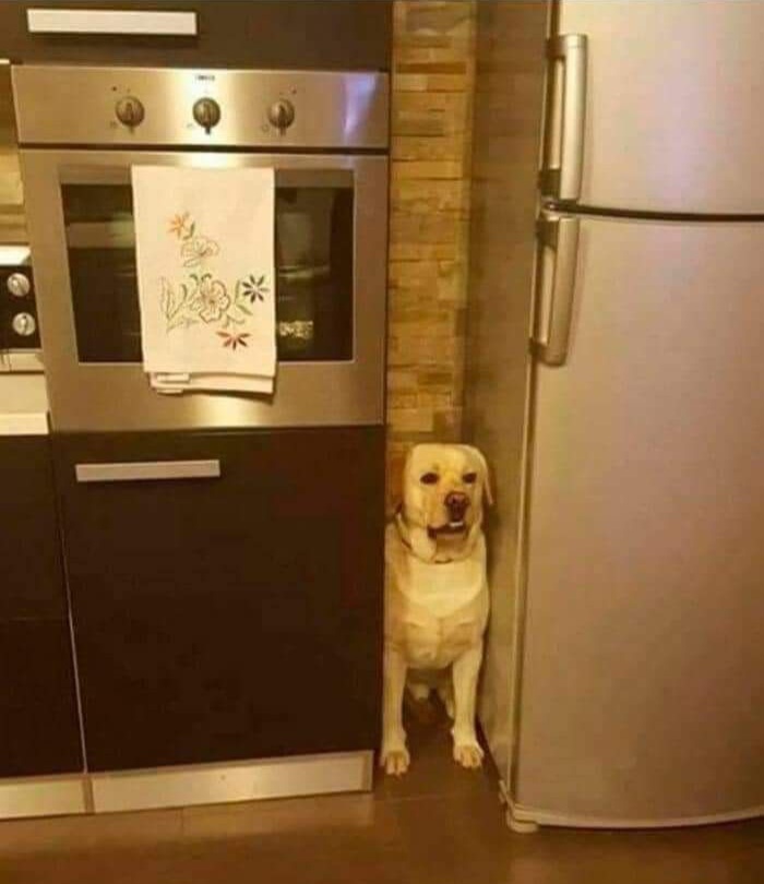 Chrisjoines1 Blank Meme Template