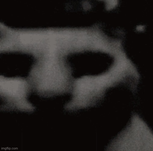 Hollow/despair cat | image tagged in hollow/despair cat | made w/ Imgflip meme maker