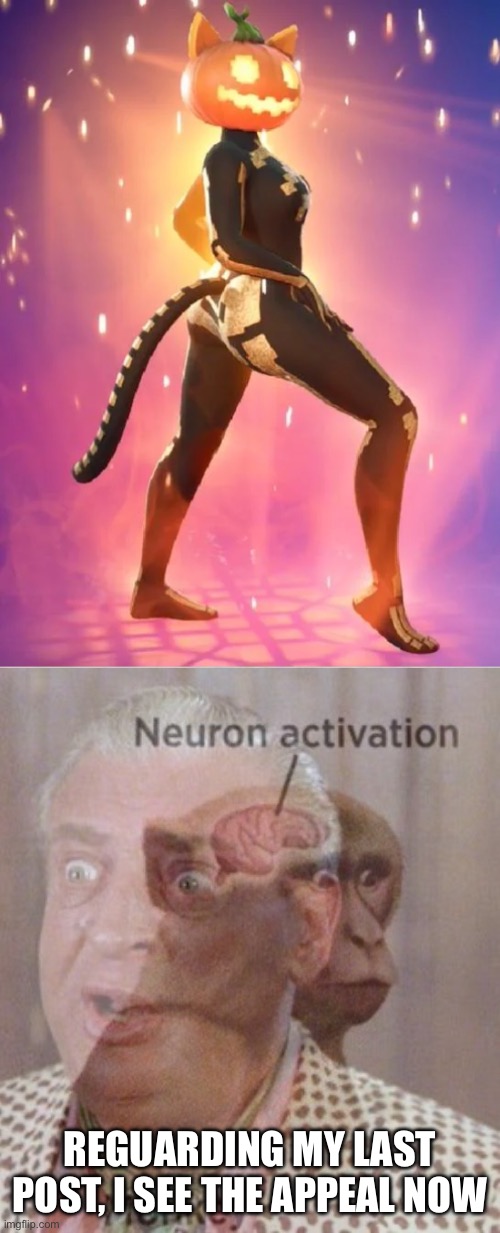 REGUARDING MY LAST POST, I SEE THE APPEAL NOW | image tagged in neuron activation monkey | made w/ Imgflip meme maker