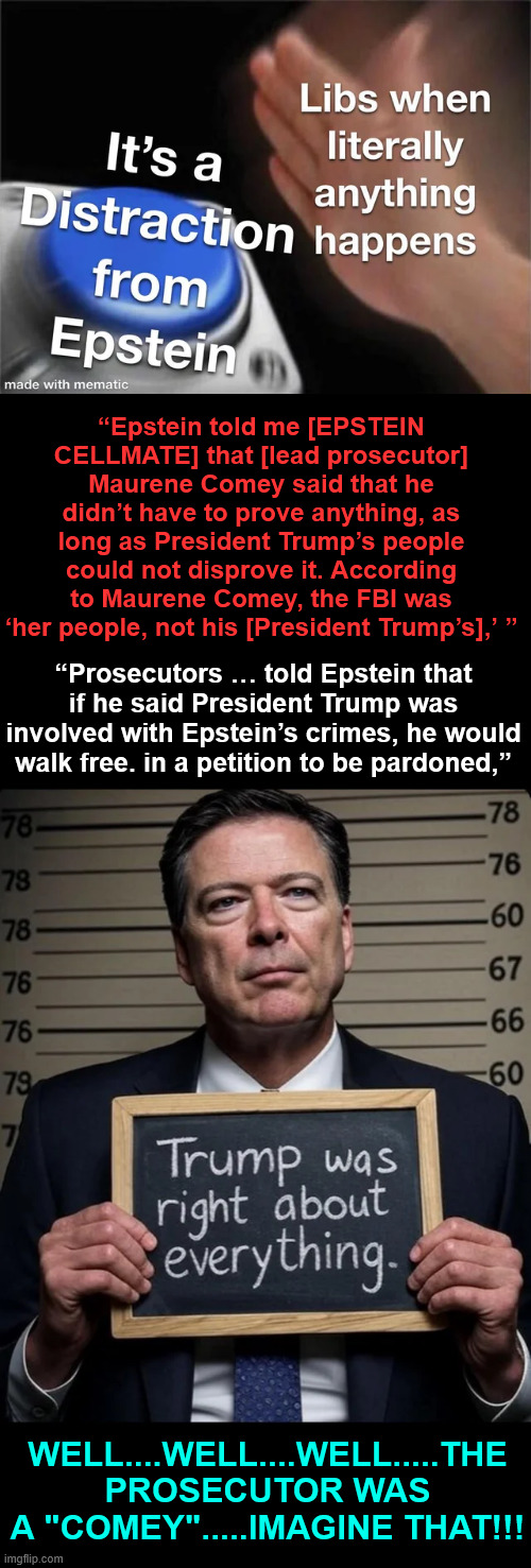 Liberal Epstein lies | “Epstein told me [EPSTEIN CELLMATE] that [lead prosecutor] Maurene Comey said that he didn’t have to prove anything, as long as President Trump’s people could not disprove it. According to Maurene Comey, the FBI was ‘her people, not his [President Trump’s],’ ”; “Prosecutors … told Epstein that if he said President Trump was involved with Epstein’s crimes, he would walk free. in a petition to be pardoned,”; WELL....WELL....WELL.....THE PROSECUTOR WAS A "COMEY".....IMAGINE THAT!!! | image tagged in liberal epstein lies,it was a comey | made w/ Imgflip meme maker